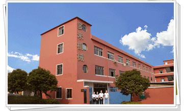 多米機械:改變世界新動力，革新行業新格局